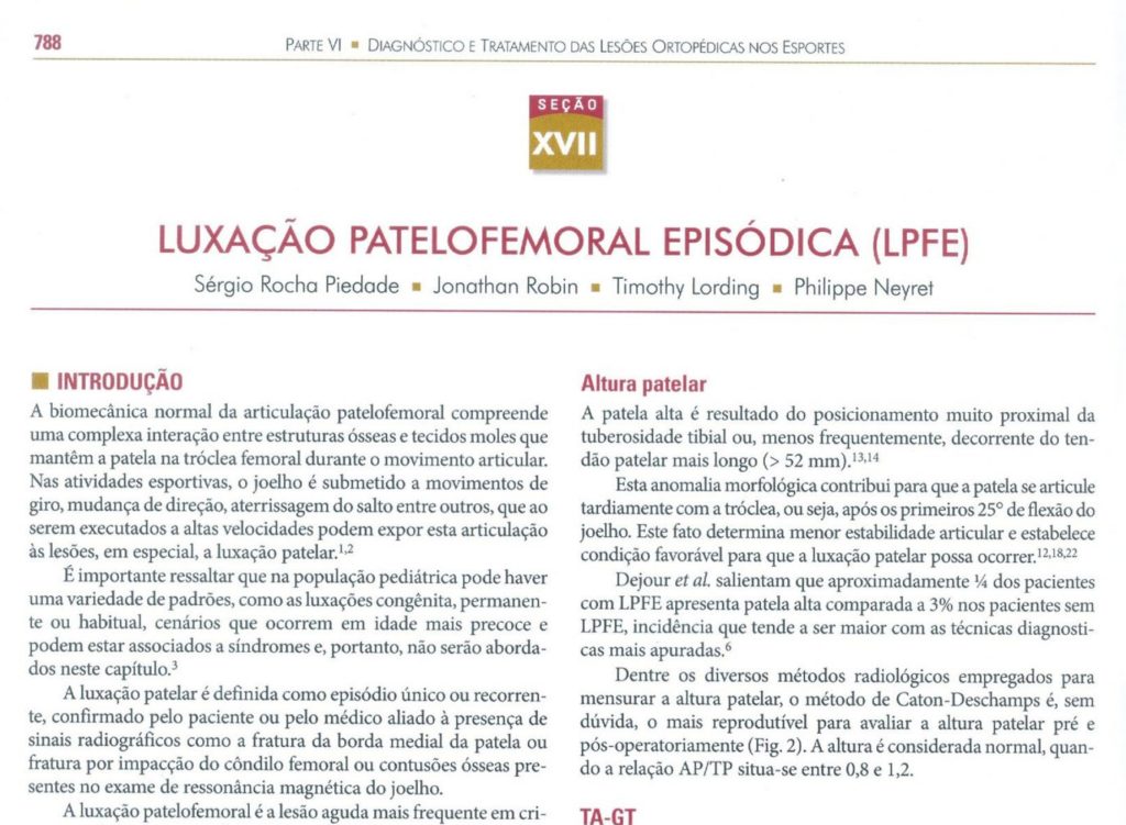 Prof. Dr. Sérgio Rocha Piedade - Medico do Esporte e Cirurgião Ortopédico Especialista em Joelho