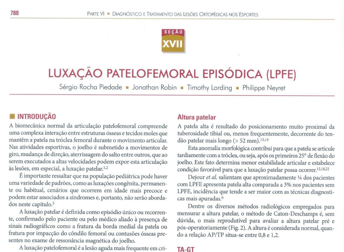 Prof. Dr. Sérgio Rocha Piedade - Medico do Esporte e Cirurgião Ortopédico Especialista em Joelho