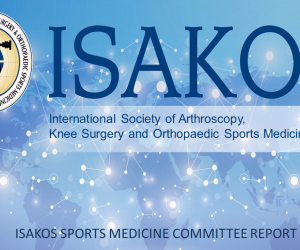 ISAKOS Sports Medicine Committee