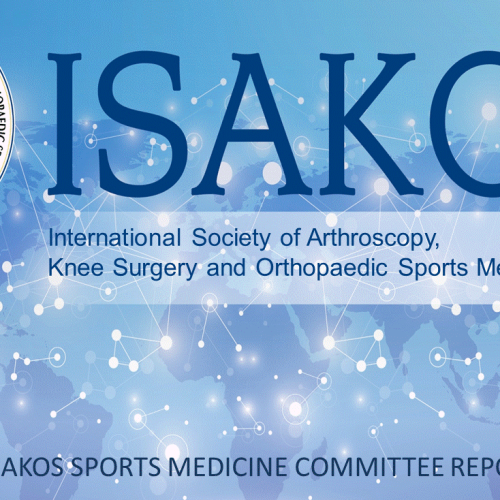 PIEDADE SR SPORTS MEDICINE PIEDADE SR BOARD MEETING CANCUN 2019