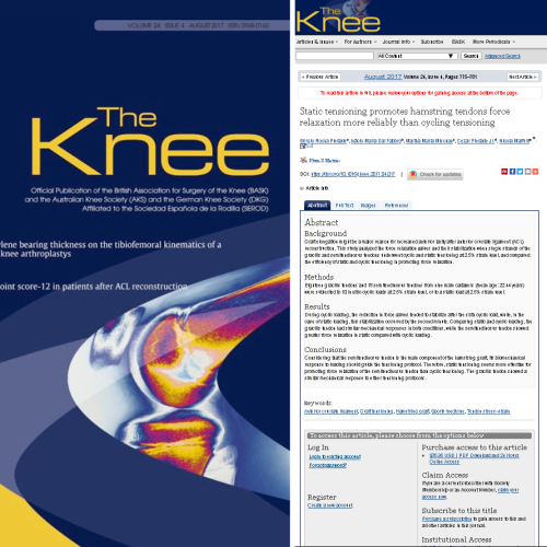 the knee