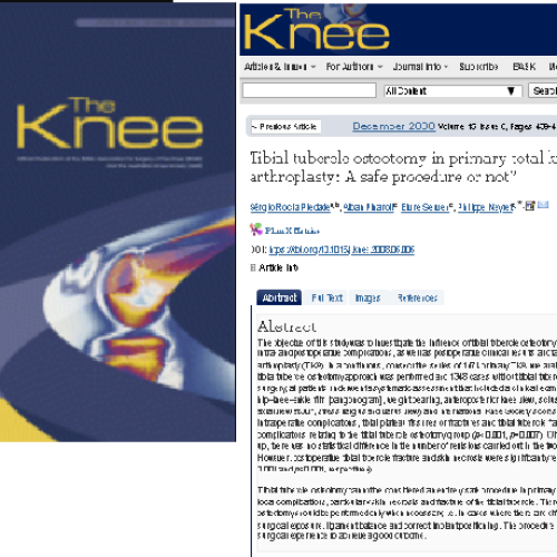 the knee tibial